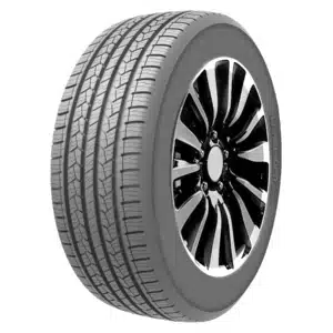 Doublestar DS01 suverehv (255/55 R20)