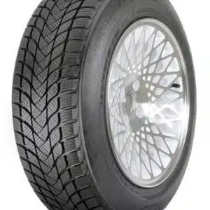 Landsail Winter Lander (Nordic) lamellrehv (225/40R18)