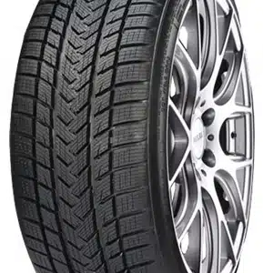 Gripmax Pro Winter lamellrehv (205/55R17)