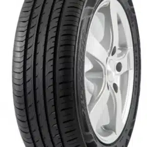 Davanti DX390 suverehv (205/50R19)