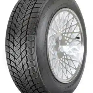 Landsail Winter Lander (Nordic) lamellrehv (185/65R15)