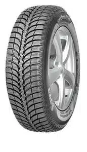 Sava Eskimo Ice lamellrehv (185/65R15)