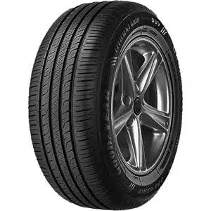 GOODYEAR EfficientGrip Performance suverehv (245/40R20)