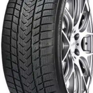 Gripmax Suregrip Pro Winter lamellrehv (275/35R21)