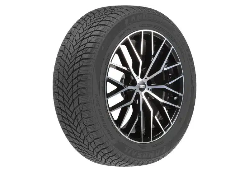 Landsail Polardragon Soft lamellrehv (225/55R16)