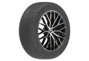 Landsail Polardragon Soft lamellrehv (205/50R17)